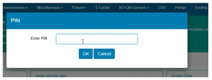 dhan enter cdsl pin